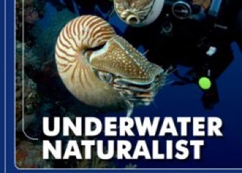 UW Naturalist 
